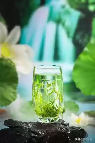世界十大养生排名(养生十大品牌)插图10