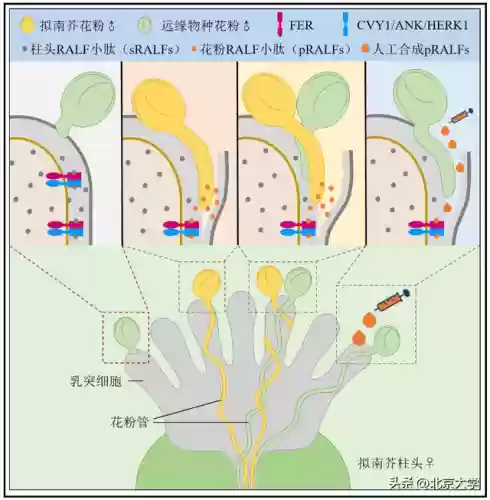 2020十大科学(最新的科学技术有哪些)插图3