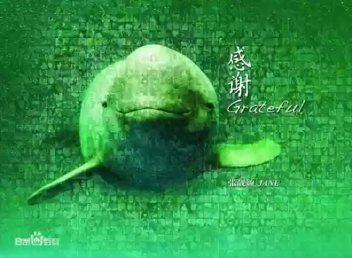 2013年度十大歌曲(网红歌曲排行榜前十名)插图3