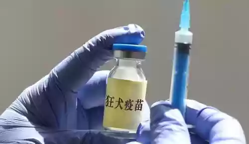 2016十大病毒(十大电脑病毒)插图22