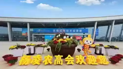 世界十大农博会(农业科技博览会)插图