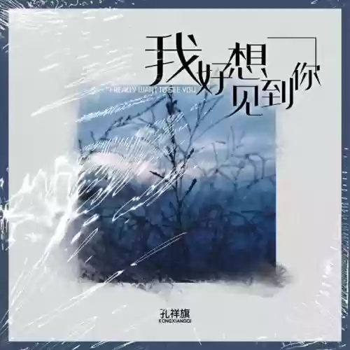 2020十大快手歌曲(快手最火的歌曲排行榜)插图2