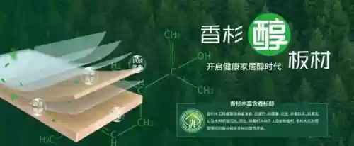 2016十大板材品牌(十大板材排名有哪些品牌)插图6
