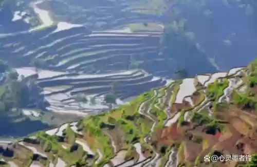 中国十大最美梯田 排名(中国十大避暑胜地)插图5