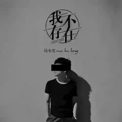 2020十大快手歌曲(快手最火的歌曲排行榜)插图7