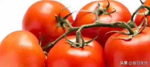 世界十大养生排名(养生十大品牌)插图6