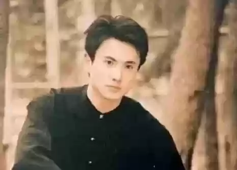 2020全国十大美男(中国公认的十大美男)插图3