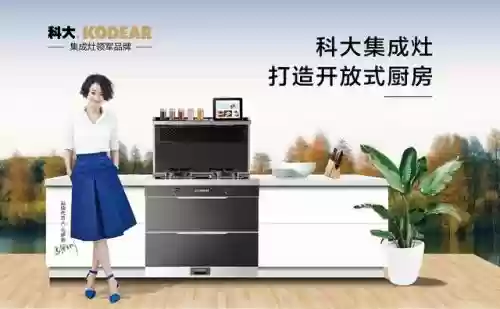 雅士林是十大品牌(雅士利漆排名第几)插图4