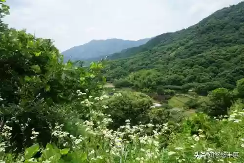 上虞十大名山(上虞风景区)插图2