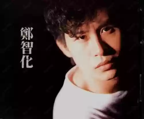 90年代十大金曲(内地90年代经典老歌)插图18