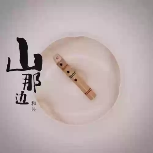 2020十大快手歌曲(快手最火的歌曲排行榜)插图11