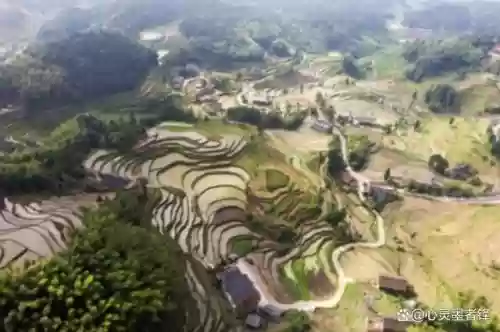 中国十大最美梯田 排名(中国十大避暑胜地)插图3