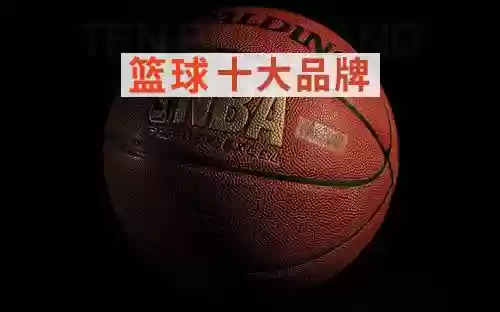 十大篮球名牌(cba用的篮球什么牌子)插图