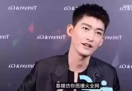 佛山十大帅哥排名(中国公认十大帅哥)插图1