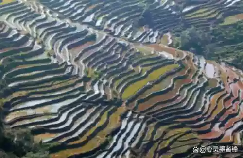 中国十大最美梯田 排名(中国十大避暑胜地)插图1