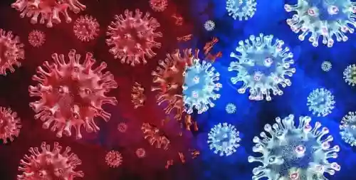 2016十大病毒(十大电脑病毒)