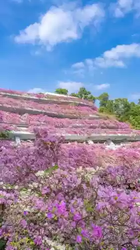 2020深圳十大景点(深圳必玩景点)插图11
