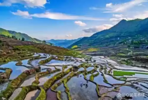 中国十大最美梯田 排名(中国十大避暑胜地)插图4