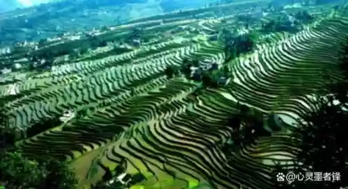 中国十大最美梯田 排名(中国十大避暑胜地)插图7