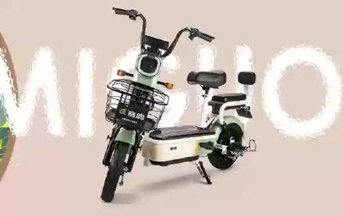 2013十大电动车品牌(中国十大电动车排名)插图7