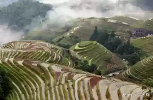中国十大最美梯田 排名(中国十大避暑胜地)插图