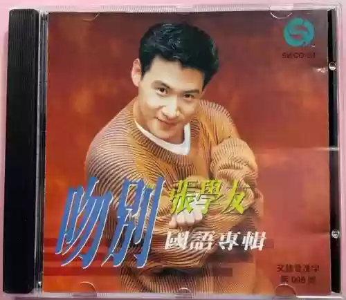 90年代十大金曲(内地90年代经典老歌)插图12
