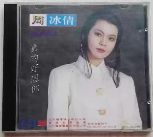 90年代十大金曲(内地90年代经典老歌)插图29