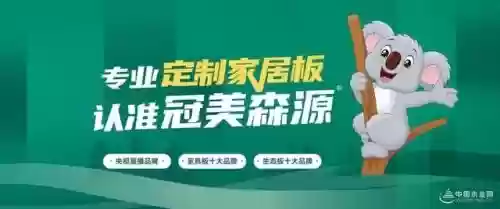 2016十大板材品牌(十大板材排名有哪些品牌)插图10