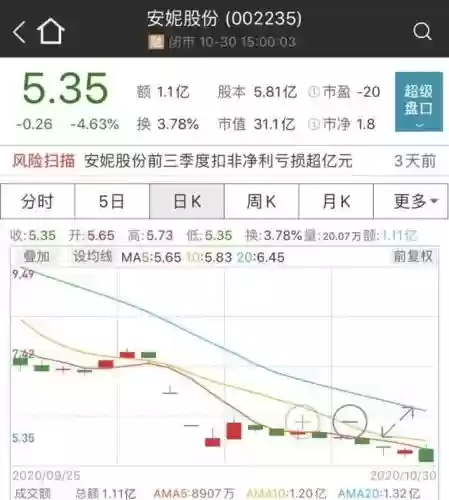2016十大熊股(2008年十大牛股排行榜)插图11