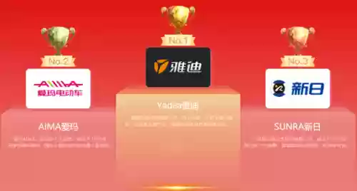 2013十大电动车品牌(中国十大电动车排名)插图10