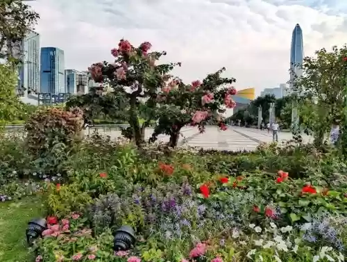 2020深圳十大景点(深圳必玩景点)插图12