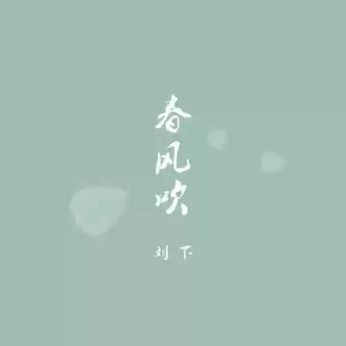 2020十大快手歌曲(快手最火的歌曲排行榜)插图26