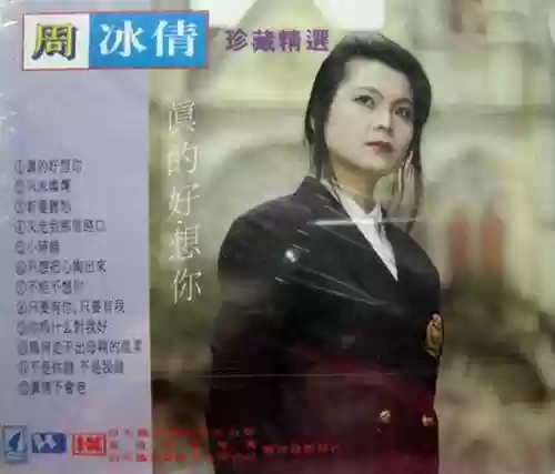 90年代十大金曲(内地90年代经典老歌)插图30