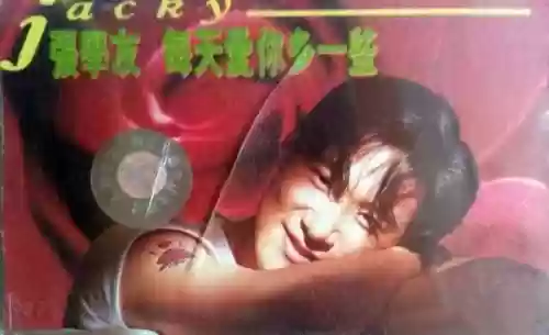90年代十大金曲(内地90年代经典老歌)插图9