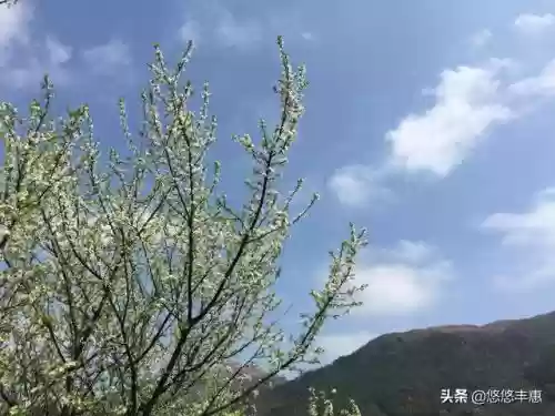 上虞十大名山(上虞风景区)插图4