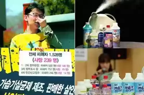 2021加湿器十大品牌(家用加湿器)