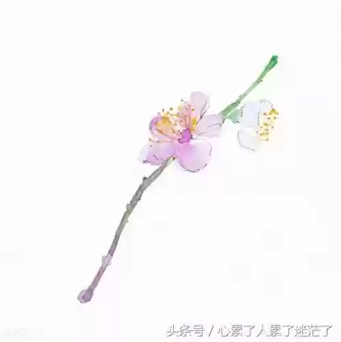 不能赴约十大借口(临时不想赴约最好的理由)