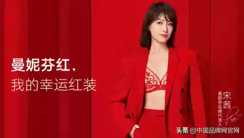 3十大文胸品牌(国内比较好的内衣品牌)插图3