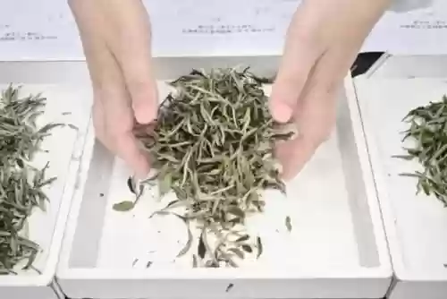 2020十大红茶(中国十大红茶有哪些品种)插图