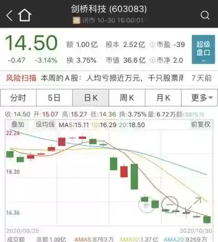2016十大熊股(2008年十大牛股排行榜)插图7