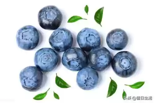 世界十大养生排名(养生十大品牌)插图1