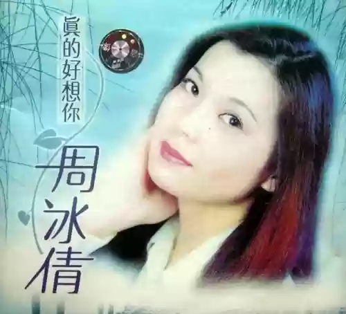 90年代十大金曲(内地90年代经典老歌)插图32