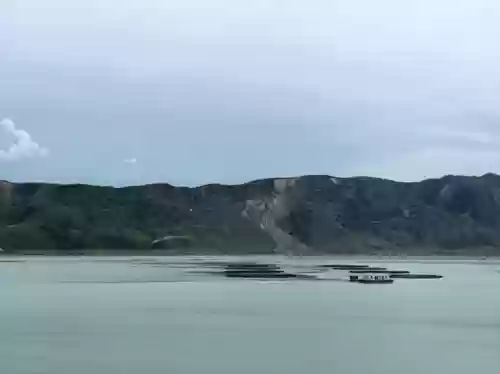 2020十大冷水鱼(适合家养的十大冷水鱼)插图1