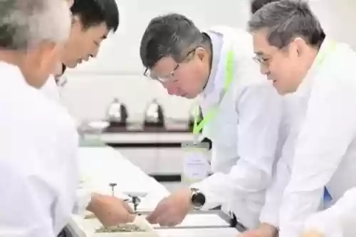 2020十大红茶(中国十大红茶有哪些品种)