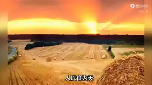 世界 十大 作物(中国五大农作物)插图