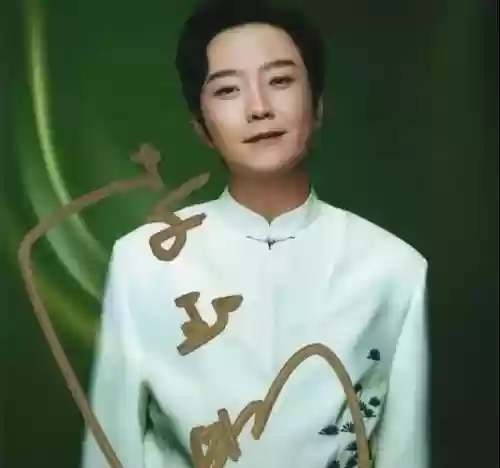 世界十大京调歌手(京胡排名前十名)插图4