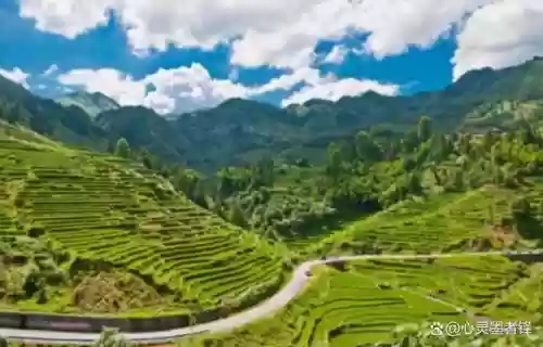 中国十大最美梯田 排名(中国十大避暑胜地)插图2