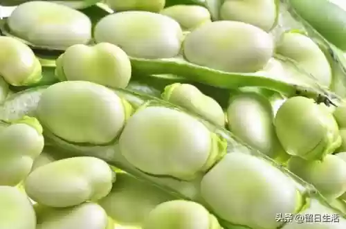 世界十大养生排名(养生十大品牌)插图8