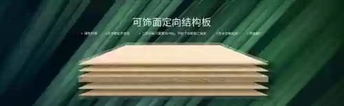 2016十大板材品牌(十大板材排名有哪些品牌)插图1