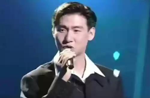 90年代十大金曲(内地90年代经典老歌)插图11